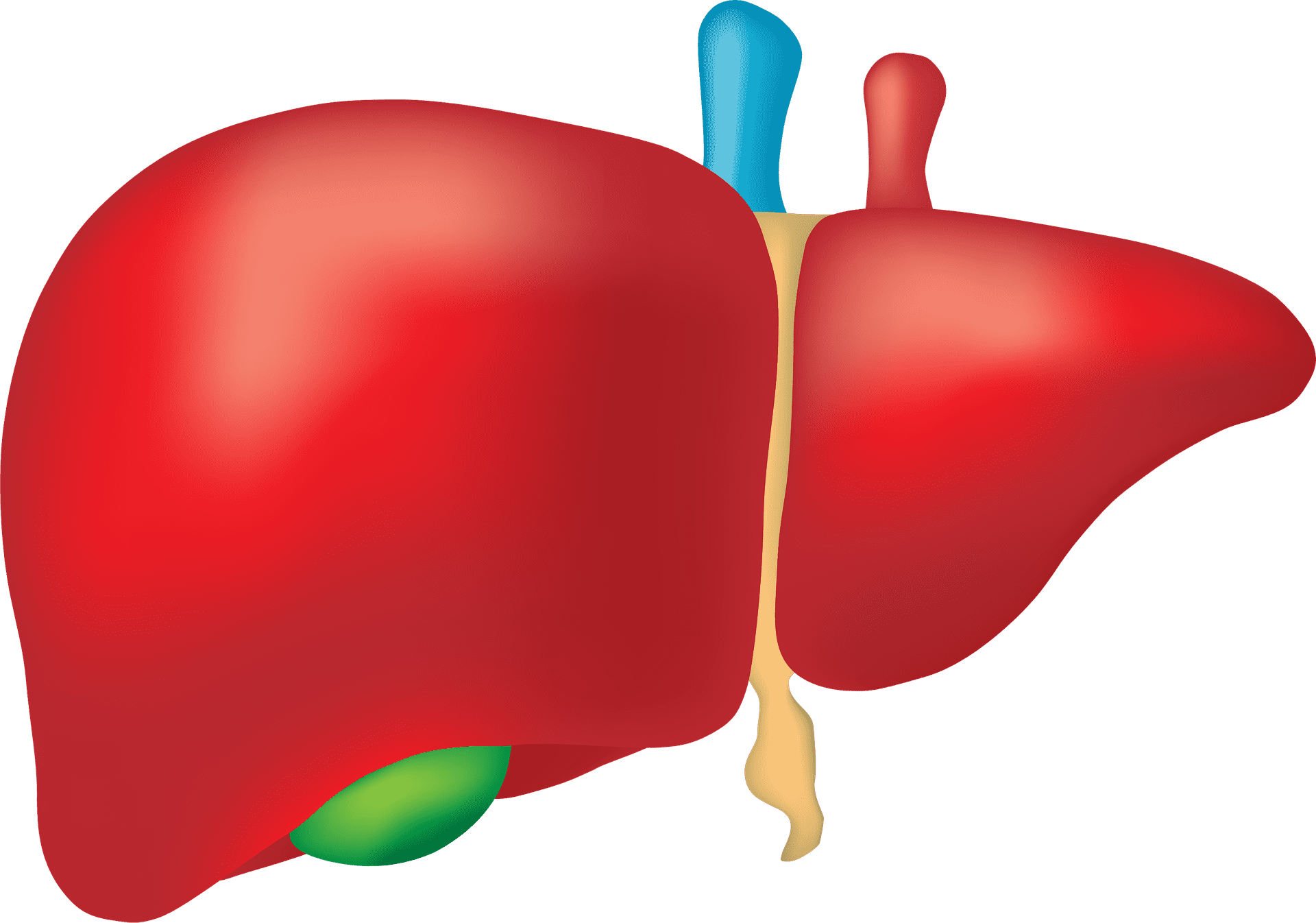 Best Liver Transplant Surgeon in India