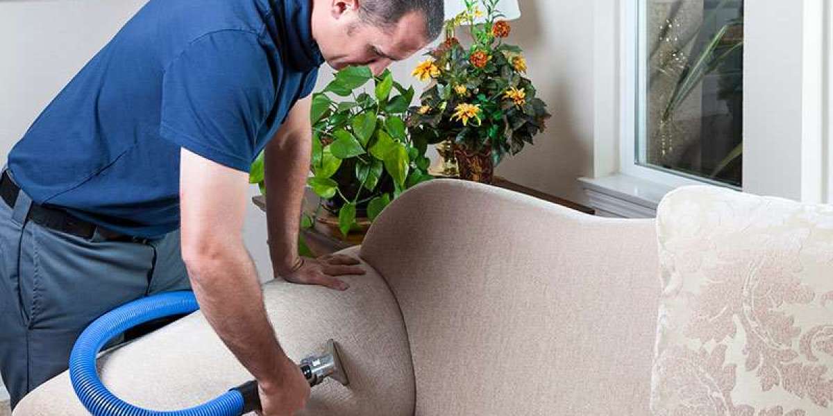 The Ultimate Guide to Upholstery Cleaning