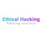 Ethical Hacking Training Institute Profile Picture