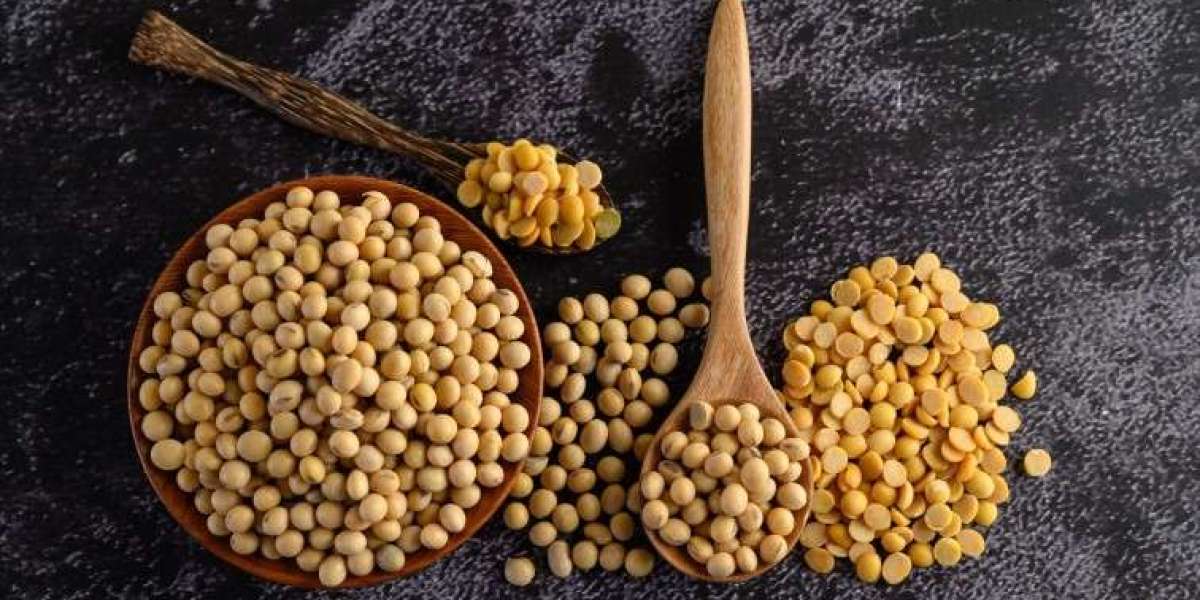 Best Pulses Brand in India | Trusted Soyabeans Dealers in India - ValencyAgro